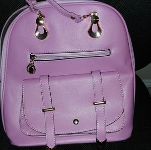Back pack purse